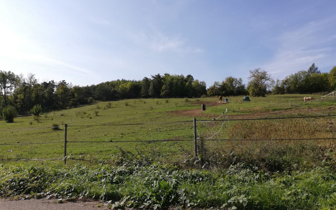 Mise à disposition d&rsquo;un bâtiment pour centre équestre