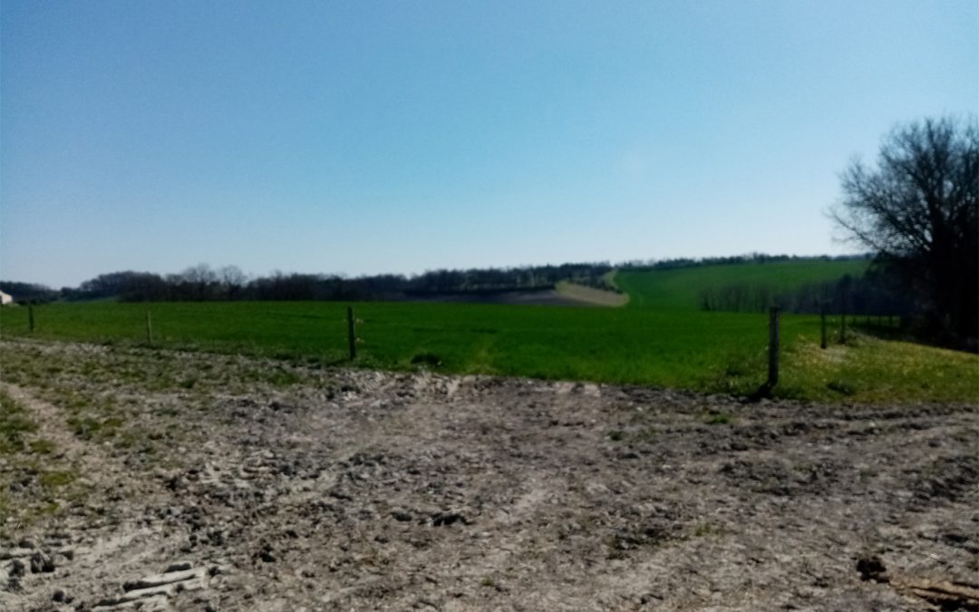 Mise à disposition d&rsquo;un bâtiment pour stabulation